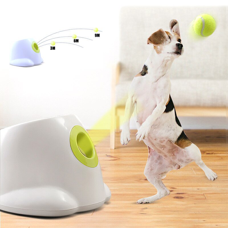 Dog pet Tennis Launcher - Universal Gifts